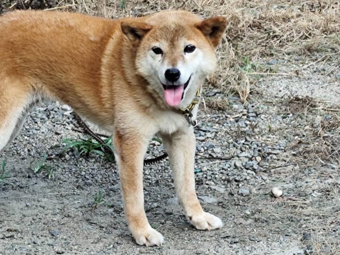 ハルちゃん ハルちゃん