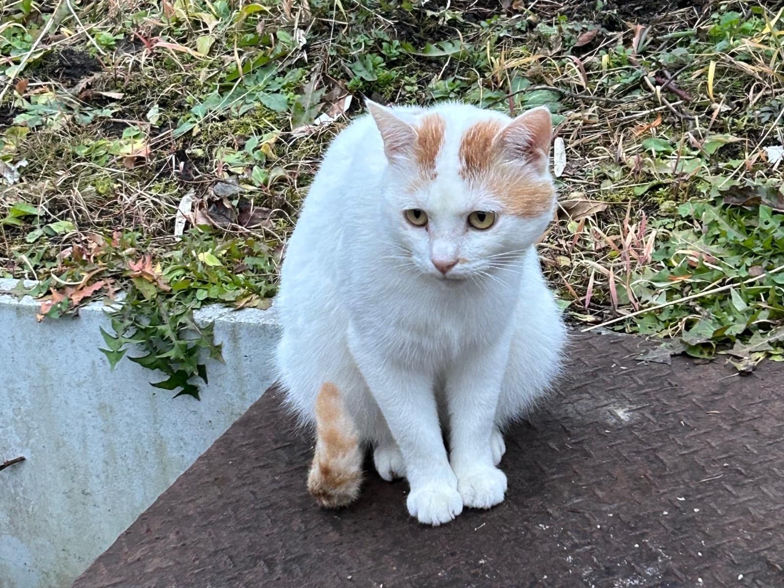 アールちゃん アールちゃん