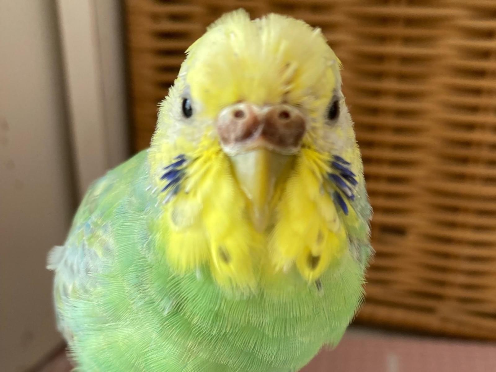 そらちゃん そらちゃん