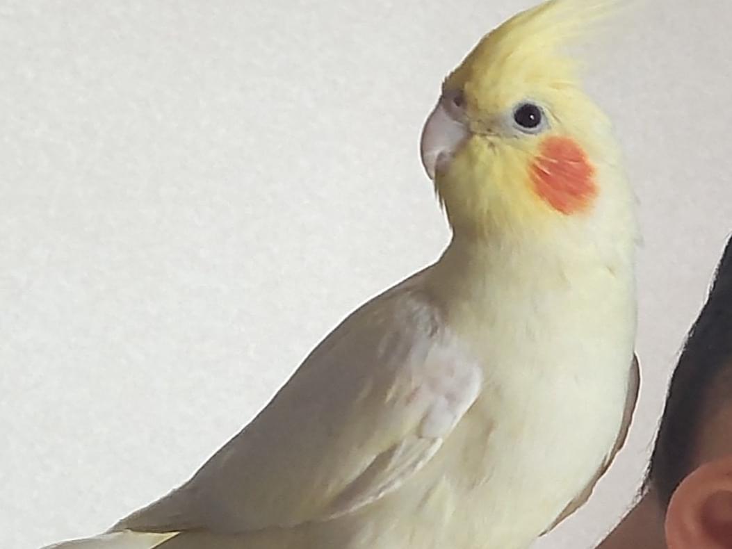 ベルちゃん ベルちゃん