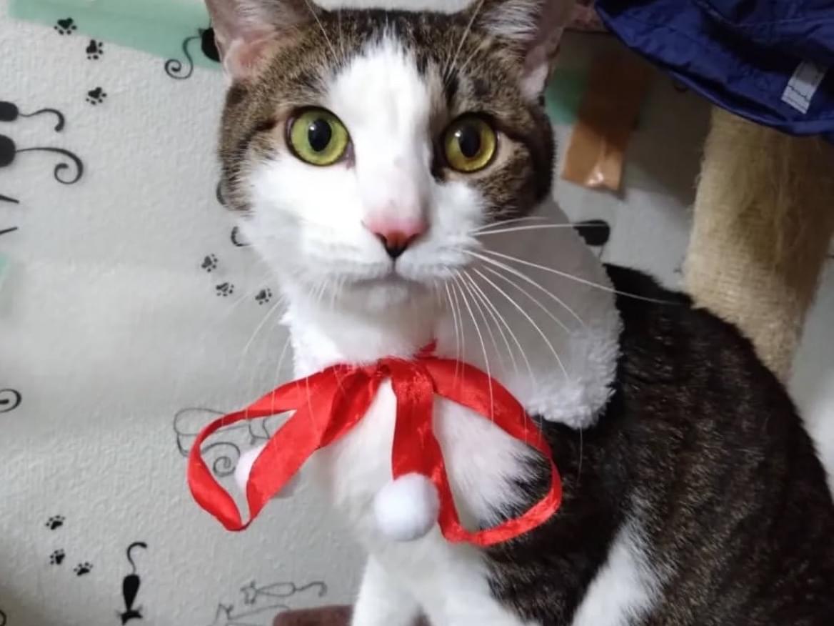 元気ちゃん 元気ちゃん
