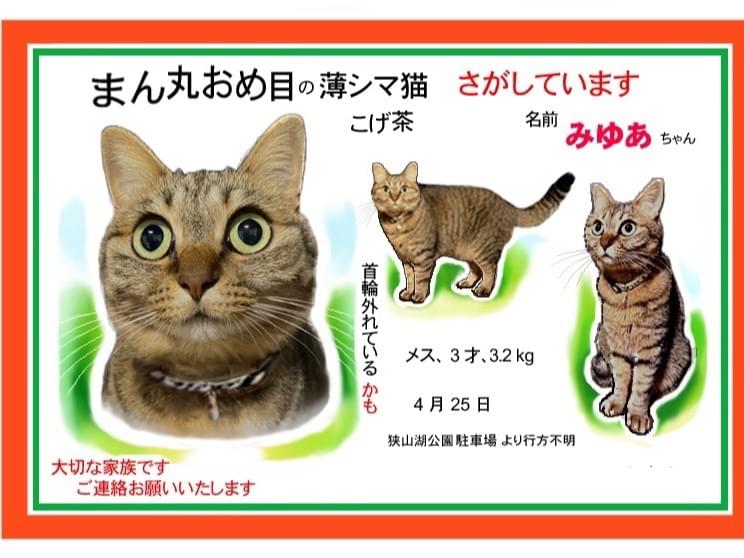 みゆあちゃん みゆあちゃん