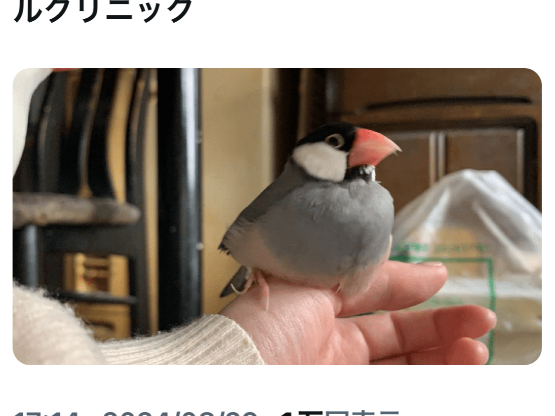 ペンちゃん ペンちゃん