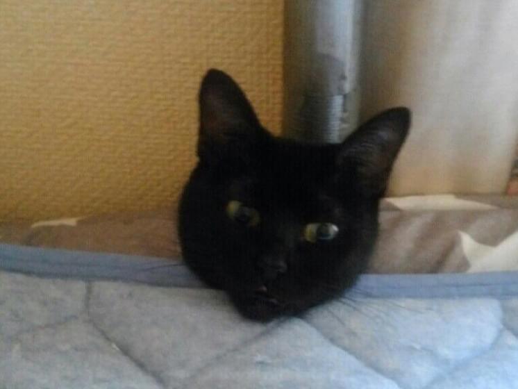 あっくちゃん あっくちゃん