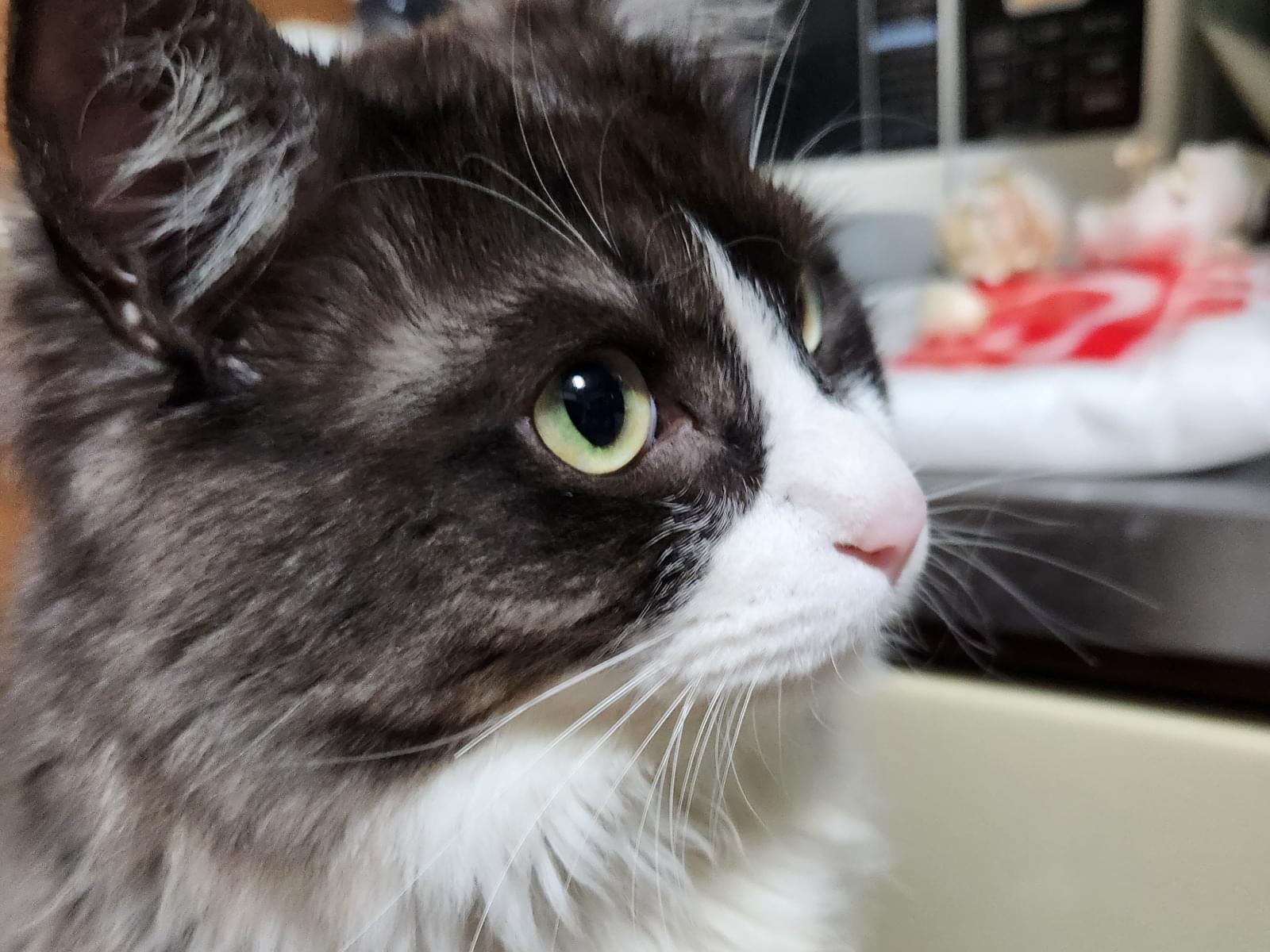 キキちゃん キキちゃん