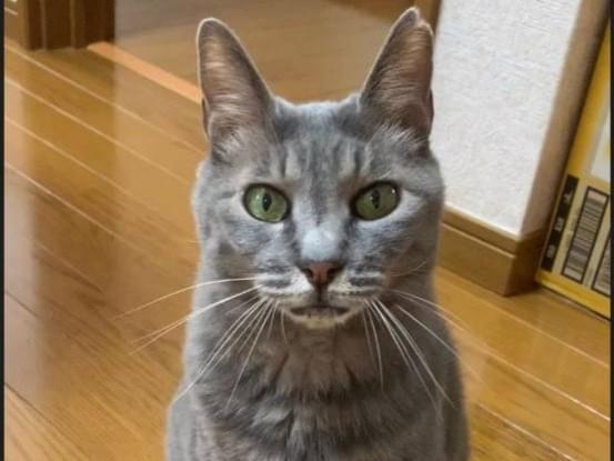 タマコちゃん タマコちゃん