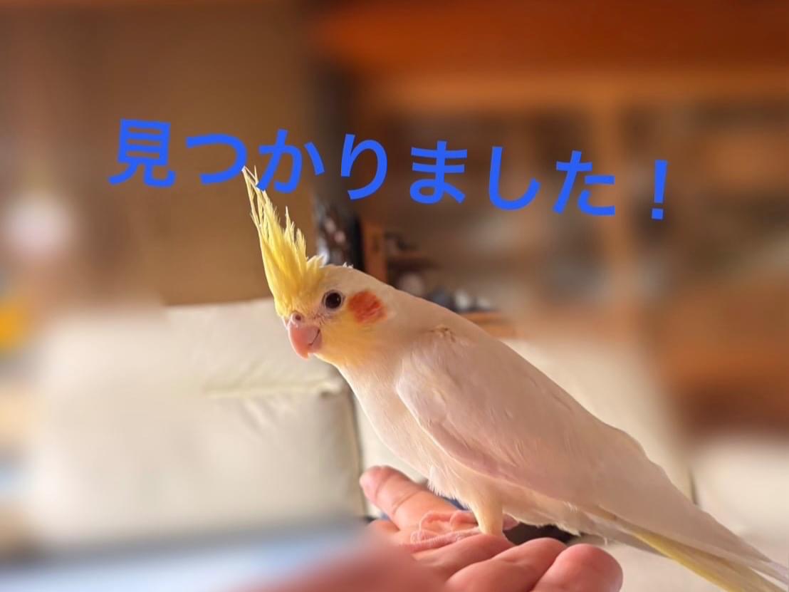 ひなちゃん