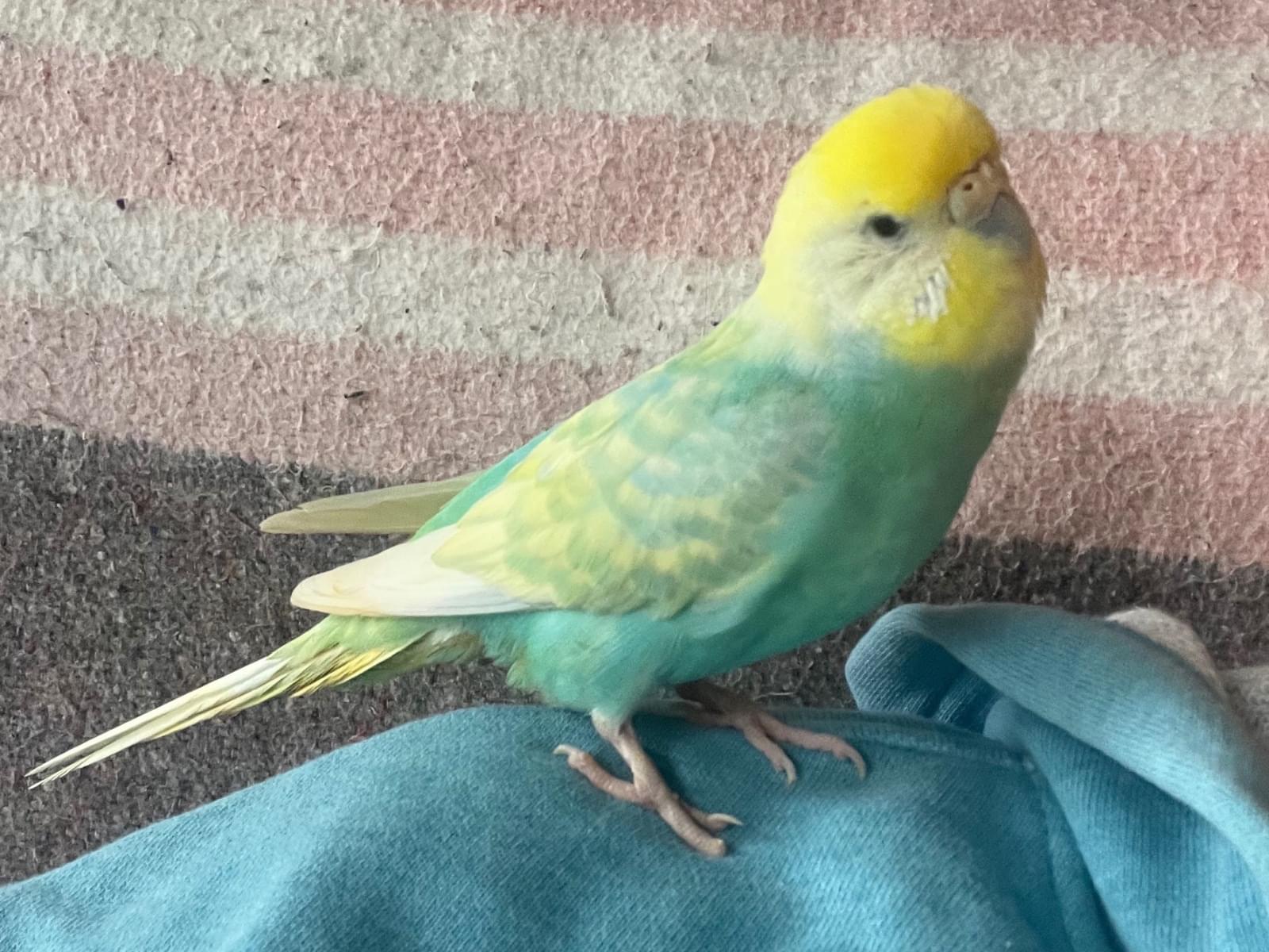 むうちゃん むうちゃん