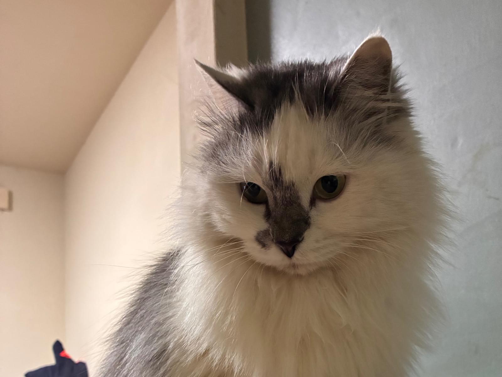 スズメちゃん スズメちゃん