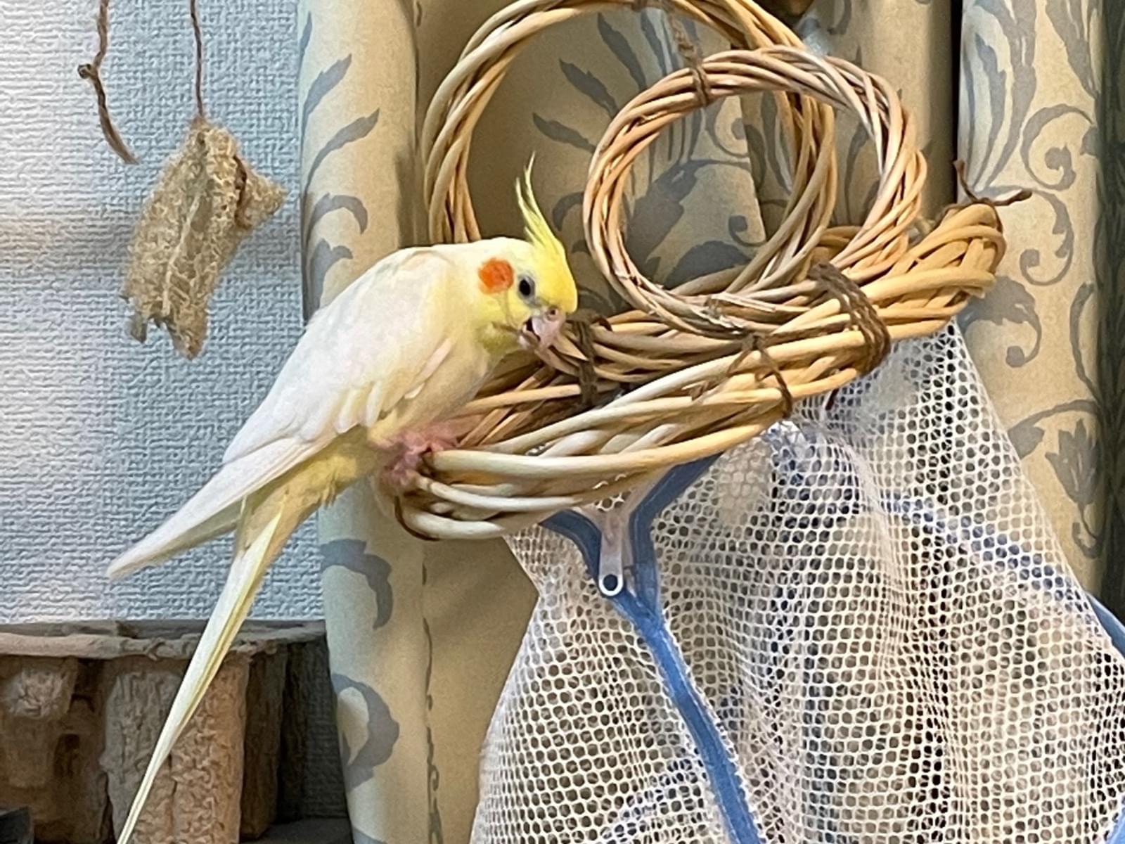 すずちゃん すずちゃん