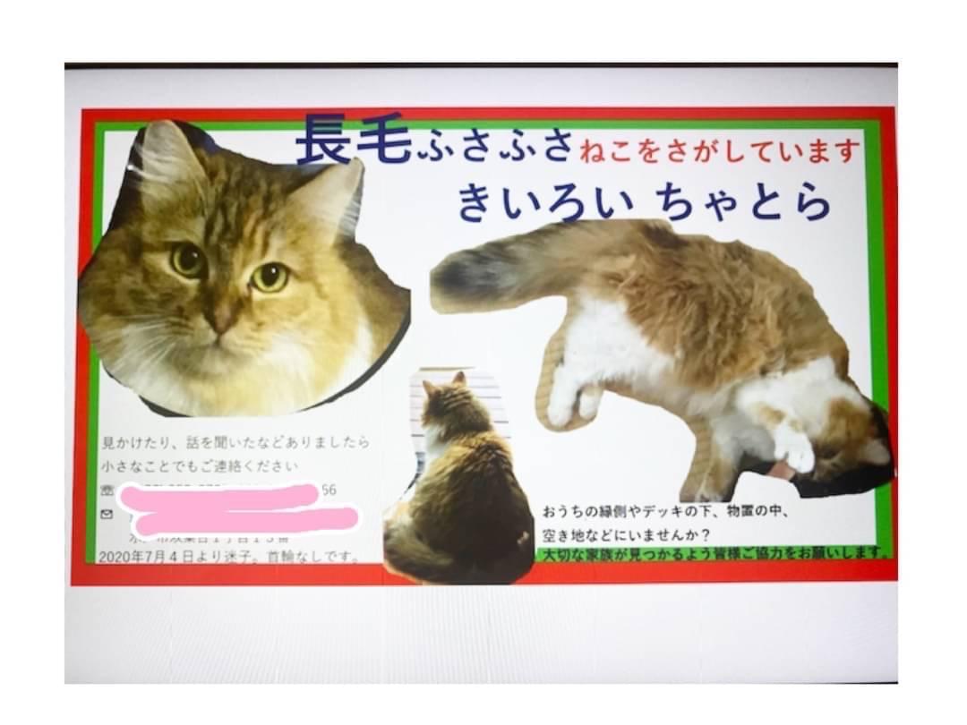 キキちゃん キキちゃん