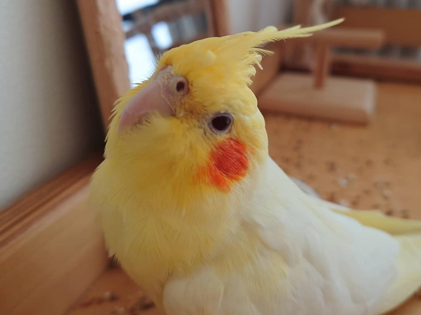 キキちゃん キキちゃん