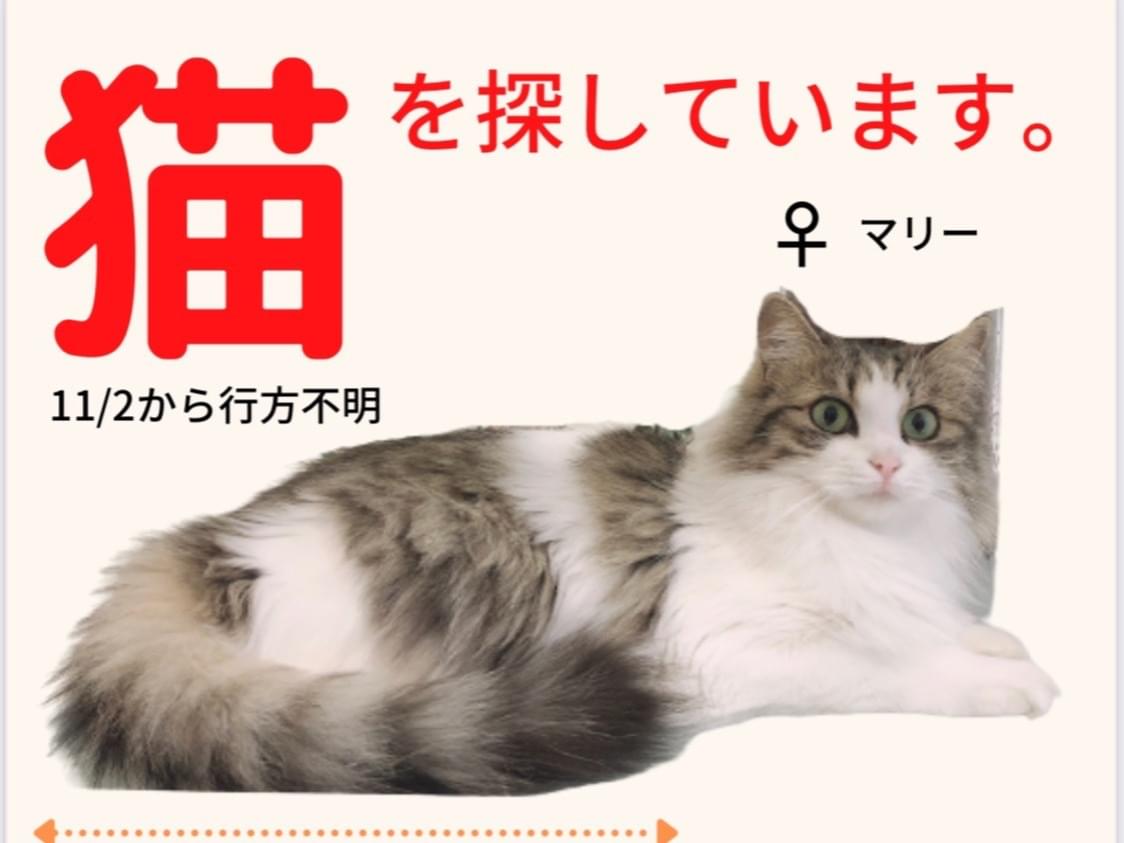 マリーちゃん マリーちゃん